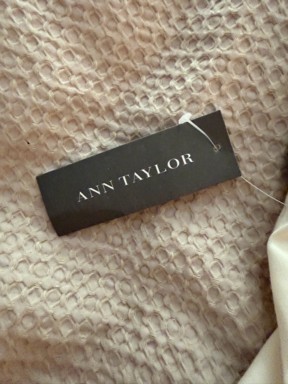 Ann Taylor Cream Dress with Black Trim - Picture 8 of 8